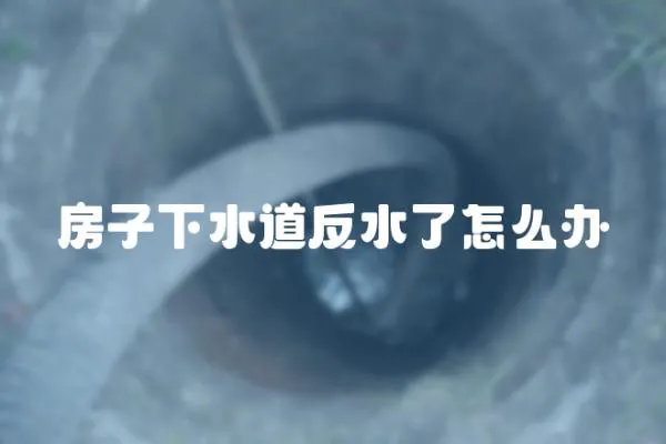 房子下水道反水了怎么辦
