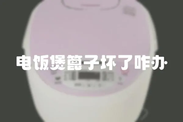 電飯煲篦子壞了咋辦