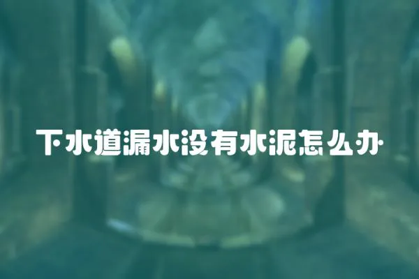 下水道漏水沒有水泥怎么辦