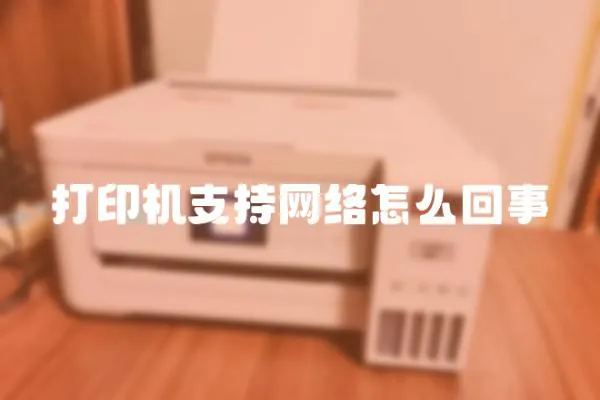 打印機支持網絡怎么回事