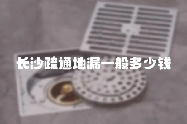 長沙疏通地漏一般多少錢