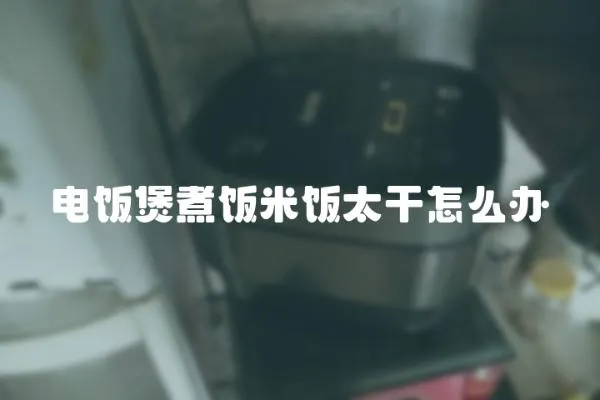 電飯煲煮飯米飯?zhí)稍趺崔k