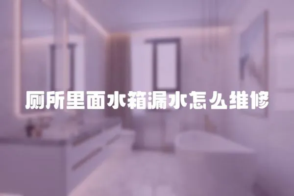 廁所里面水箱漏水怎么維修
