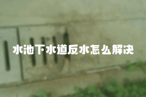 水池下水道反水怎么解決