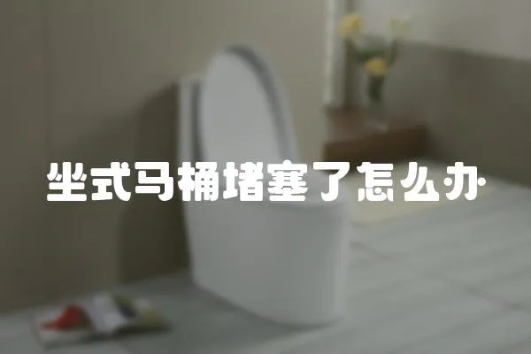 坐式馬桶堵塞了怎么辦