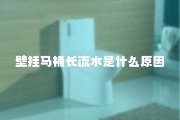 壁掛馬桶長流水是什么原因