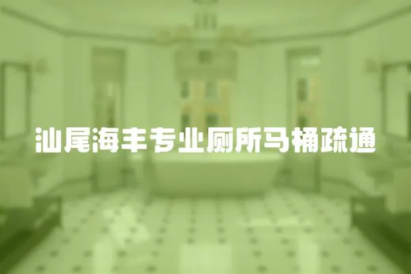 汕尾海豐專業(yè)廁所馬桶疏通