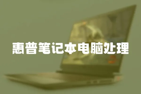 惠普筆記本電腦處理
