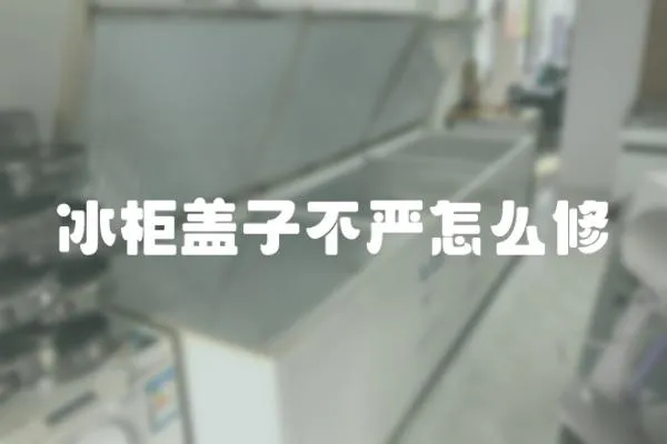 冰柜蓋子不嚴怎么修