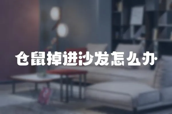 倉鼠掉進沙發怎么辦