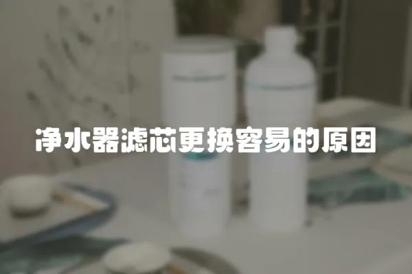 凈水器濾芯更換容易的原因