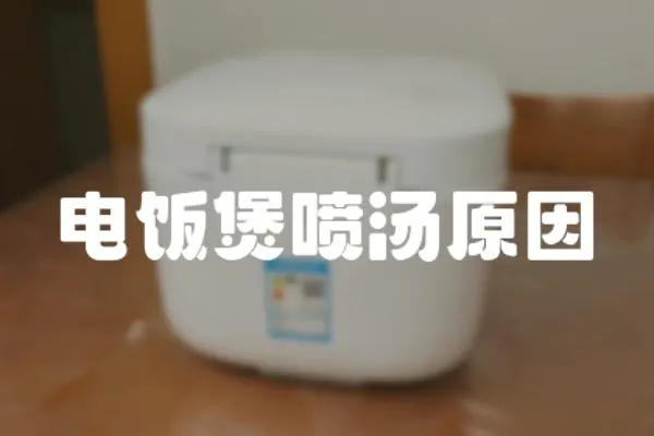 電飯煲噴湯原因