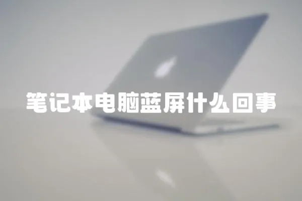 筆記本電腦藍(lán)屏什么回事