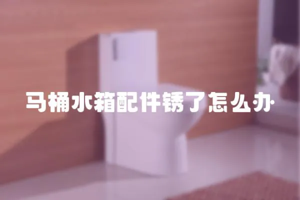 馬桶水箱配件銹了怎么辦