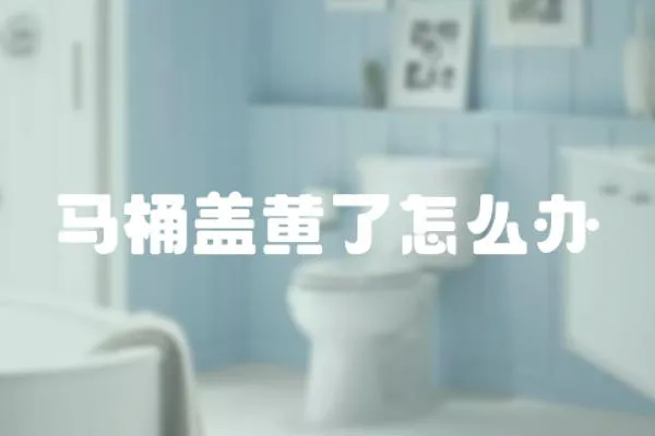 馬桶蓋黃了怎么辦