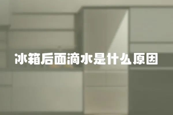 冰箱后面滴水是什么原因