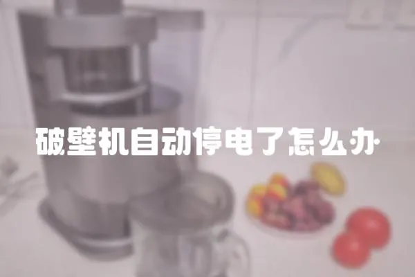 破壁機自動停電了怎么辦