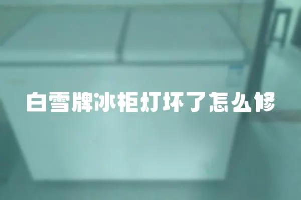 白雪牌冰柜燈壞了怎么修