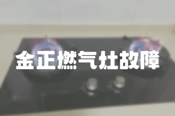 金正燃氣灶故障