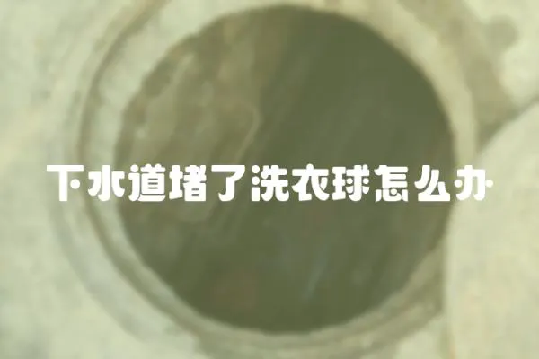 下水道堵了洗衣球怎么辦