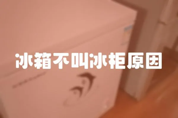 冰箱不叫冰柜原因