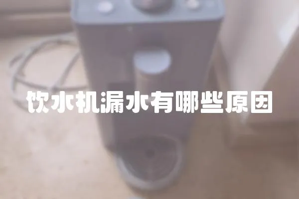 飲水機(jī)漏水有哪些原因