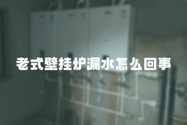 老式壁掛爐漏水怎么回事