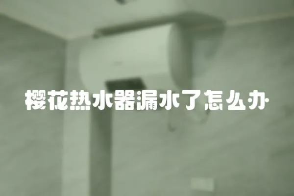 櫻花熱水器漏水了怎么辦