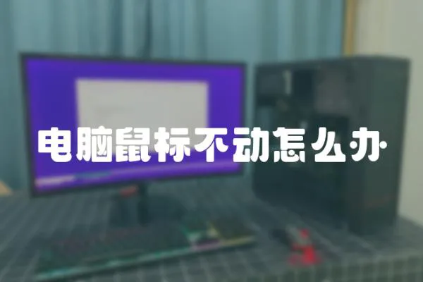 電腦鼠標不動怎么辦