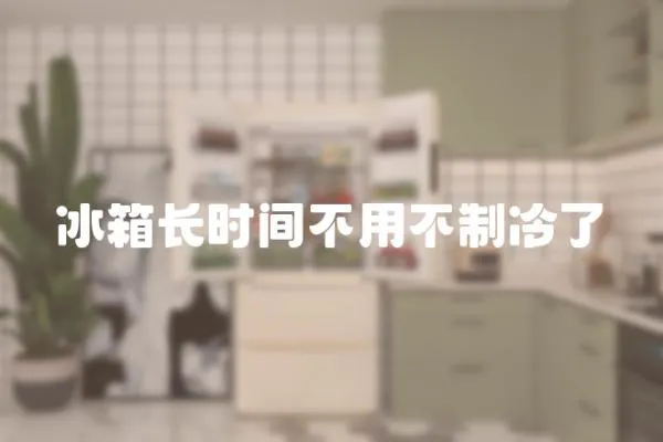 冰箱長時間不用不制冷了