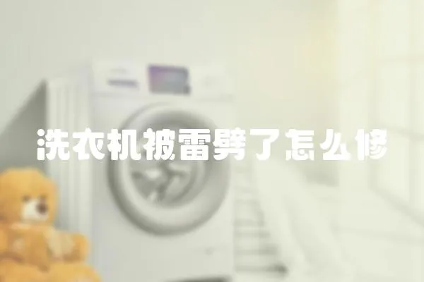 洗衣機被雷劈了怎么修