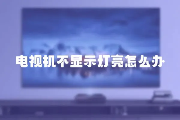 電視機不顯示燈亮怎么辦