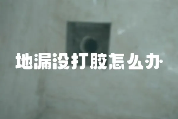 地漏沒(méi)打膠怎么辦