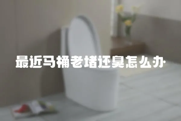 最近馬桶老堵還臭怎么辦