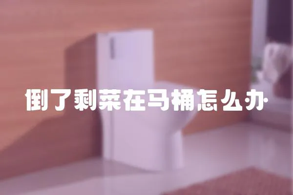倒了剩菜在馬桶怎么辦