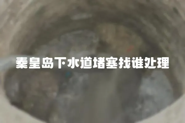 秦皇島下水道堵塞找誰處理