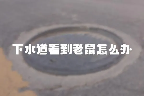 下水道看到老鼠怎么辦