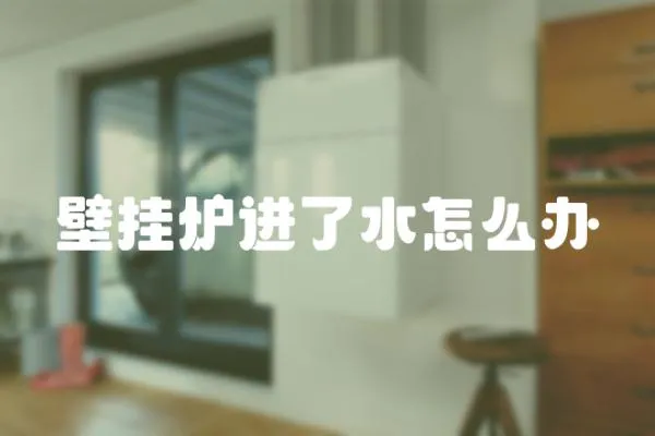 壁掛爐進了水怎么辦