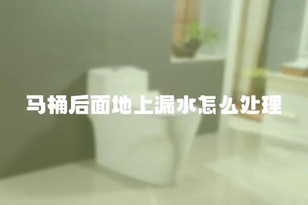 馬桶后面地上漏水怎么處理