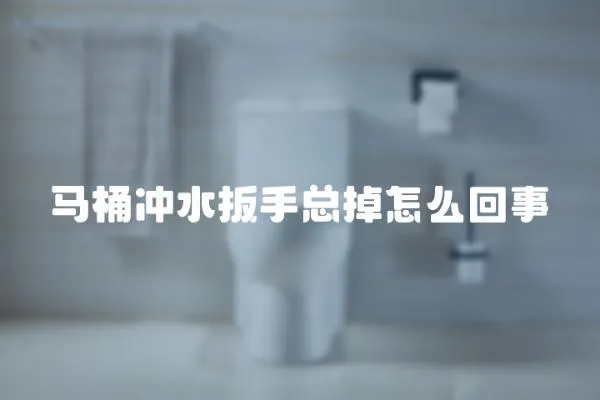馬桶沖水扳手總掉怎么回事