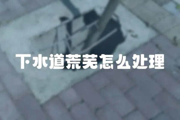 下水道荒蕪怎么處理