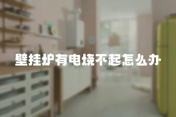 壁掛爐有電燒不起怎么辦