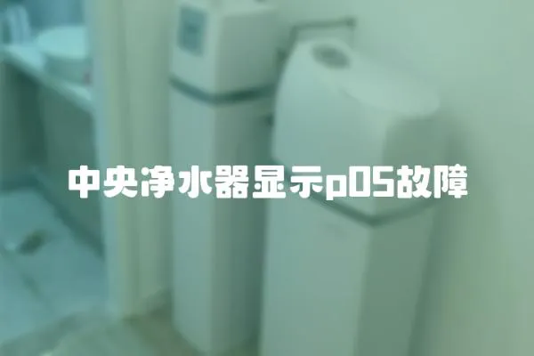 中央凈水器顯示p05故障