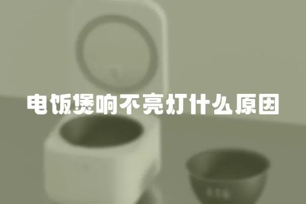 電飯煲響不亮燈什么原因