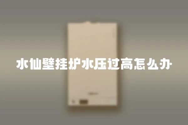 水仙壁掛爐水壓過高怎么辦