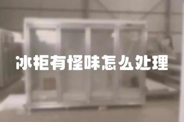 冰柜有怪味怎么處理