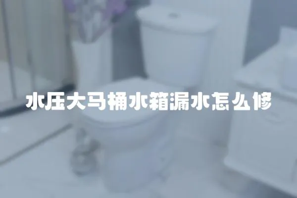 水壓大馬桶水箱漏水怎么修
