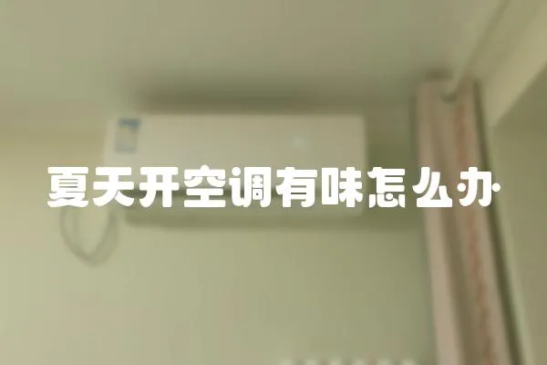 夏天開空調(diào)有味怎么辦
