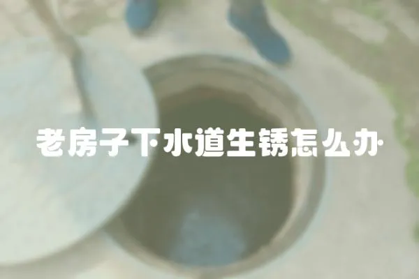 老房子下水道生銹怎么辦