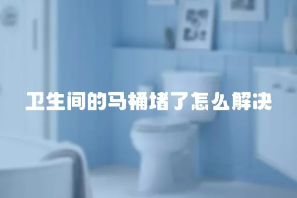 衛(wèi)生間的馬桶堵了怎么解決